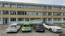 Lejlighed til salg, Viborg, Pebermyntevej